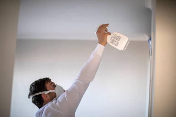 Moss Point, MS Mold Removal Company