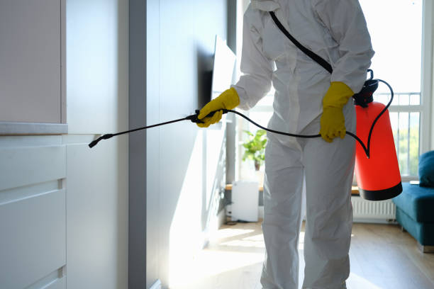 Best Crawl Space Mold Removal  in Moss Point, MS
