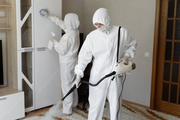 Certified Mold Removal in Moss Point, MS