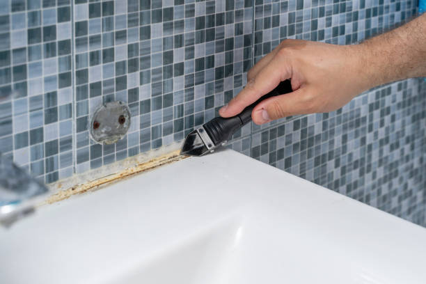 Best Black Mold Removal  in Moss Point, MS