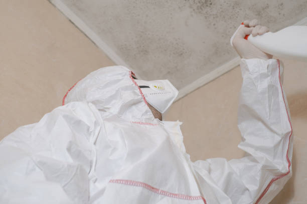 Best Residential Mold Removal  in Moss Point, MS