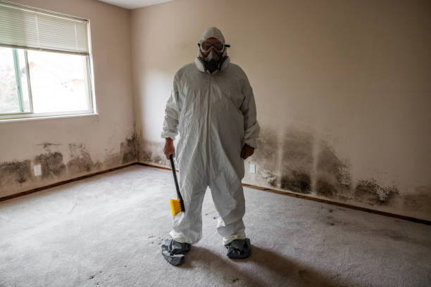 Best Local Mold Removal Service  in Moss Point, MS