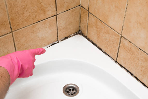 Best Mold Testing  in Moss Point, MS